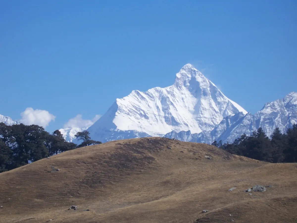 Nanda Devi seen from the Gorson meadows above Joshimath